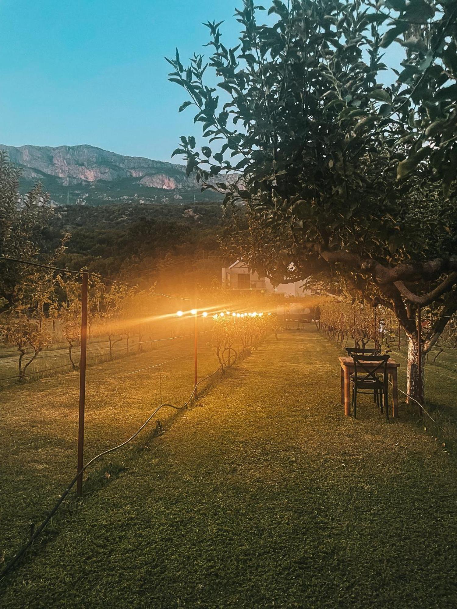 Kami The Essence Villa Danilovgrad Kültér fotó
